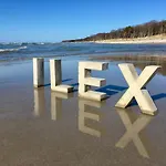 Ilex Born