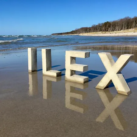 Ilex Born
